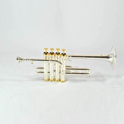 Top 10 Best Sellers in Piccolo Trumpets June 2018