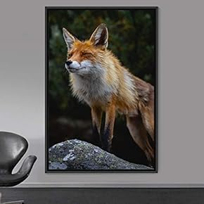 signwin Framed Canvas Wall Art Red Fox Animals...
