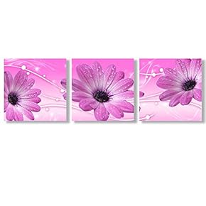 Canvas Wall Art Beautiful Flowers Collections Picked Painting Artwork for Home Prints Framed - 12"x12"x3 Panels