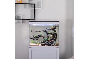 SOUTH SHORE RETAIL, LLC 10 Gallon - 35L Modern Aquarium Starter Kit- All in One - Filter, Light, and Stand (Optional) - Veteran Owned Small Business - Model SA-380F