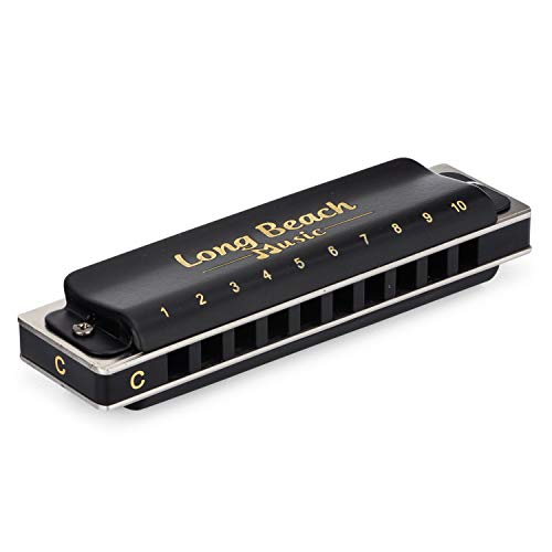 10 Best Harmonicas for Blues, Folk & More 2020 Windysounds