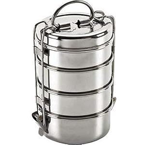 DishGo Stainless Steel 4 Container with Lunch Box Set for Office, College and School for Men, Women, Kids | Tiffin Box…