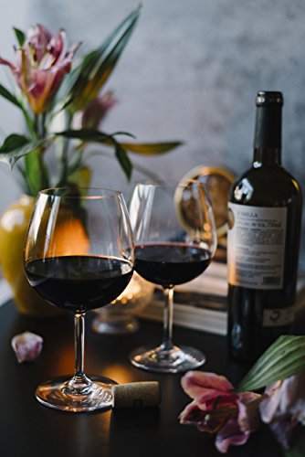 Unbreakable Red Wine/Pinot Noir glasses - 100% Tritan Dishwasher-safe, shatterproof plastic wine glasses - Smooth Rims -Set of 4 (22oz Stemmed Red) by TaZa