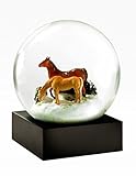 Horses Snow Globe by CoolSnowGlobes®
