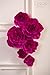 Ling's moment Crepe Paper Flowers, 6 X Rose Handcrafted Flowers(8''-6'' Assorted), Paper Flower Decorations for Nursery Wall Display Wedding Anniversary Baby Shower
