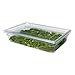 Rubbermaid Commercial Products Food Storage Box Lid for 8.5, 12.5, 16.5, and 21.5 Gallon Sizes, Clear