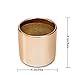 Copper, Rose Gold Succulent Plant Pot - 4 Inch Pot Can Hold Large & Small Succulents, Cactus and Flowers - Cylindrical Modern Design - Rose Gold and Copper for In-Style Look