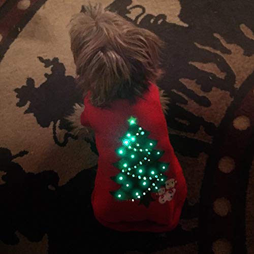 light up dog jacket