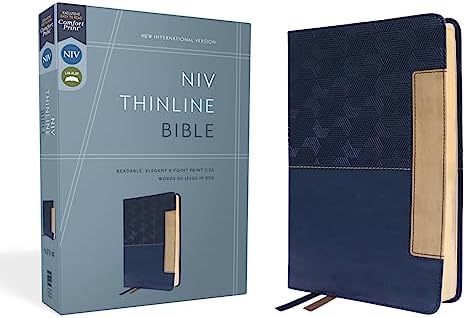 Zondervan NIV THINLINE BIBLE 聖書 NIV, Thinline Bible, Giant Print, Leathersoft, Gray/Purple, Red