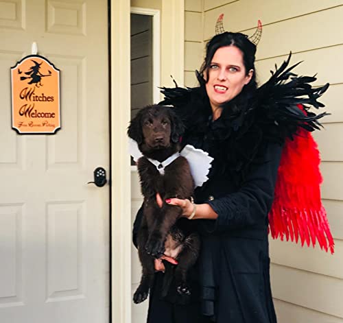 homelex gothic black natural feather cape shawl with choker collar