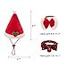 PUPTECK 9 PCS Christmas Cat Toys Set - Cat Collar, Soft Ball, Catnip Bag, Pet hat, Plush Toys, Crinkle Ball, Red Bow