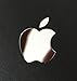 Wallner 5pcs in Set Metal Cellphone Apple Logo Overlay Metal Decal Sticker for iPhone 5/6/7/8 Plus XS max (Silver)