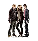 Advanced Graphics Harry, Hermione & Ron (Harry Potter 7) 67
