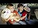 Seat Pets Tan Dog Car Seat Toy