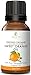 Certified Organic (USDA & ECOCERT) Sweet Orange Essential Oil by RejuveNaturals, 15 ml | Pure - Alcohol, Gluten & GMO Free | Natural Citrus Aromatherapy - Antifungal, Antibacterial, Stress Reliever
