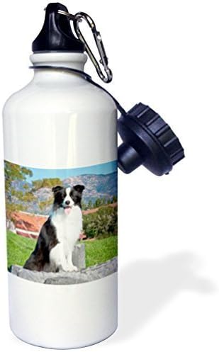 Wild Bramble A Border Collie Dogus Zmuzandria Muench Beraldo Sports Water Bottle 21 Oz Twin Sides
