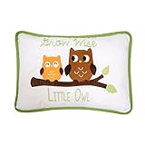 Lambs & Ivy Woodland Tales Grow Wise Little Owl Decorative Pillow, Green/Brown