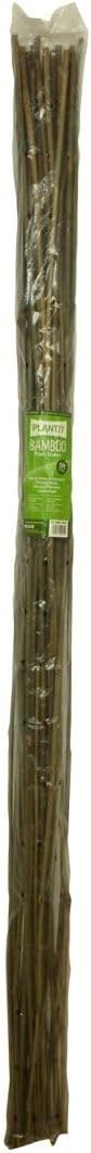 PLANT !T 5ft Bamboo Stakes Beige Pack of 25 for Plant Support view 3