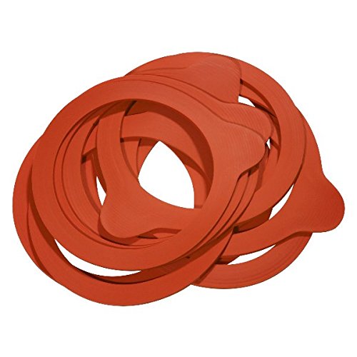 200 x Weck rubber ring RR100.