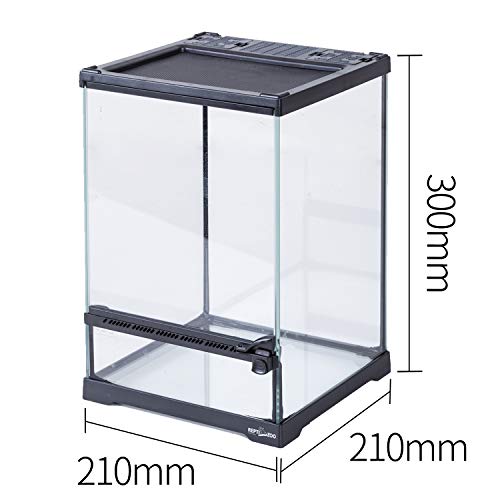 6 REPTIZOO+Terrarium+Visually+Appealing+Amphibians