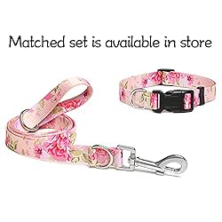 Suredoo Adjustable Dog Collar with Patterns, Ultra