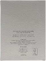 TOUS Les Colonias Concentree Man Eau de Toilette 100ml Men Fragrance view 7