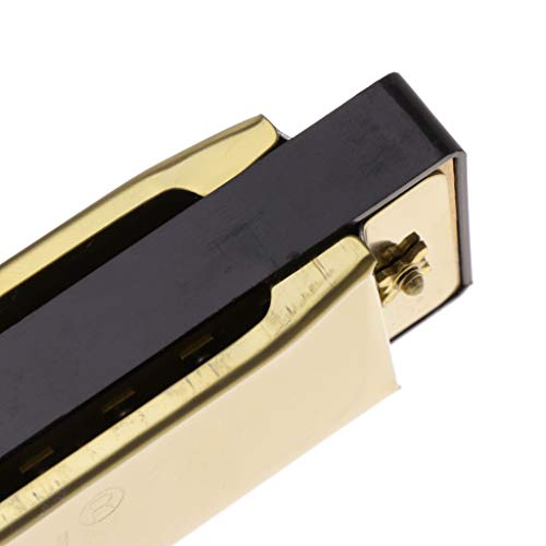 image for Jesse 10 Hole C Key 20 Tone Harmonica, Blues Metal Harmonica Key Educa