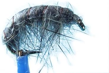 4 X Mouche Nymphe Gammare Gris Pour Peche A La Truite Amazon Fr Sports Et Loisirs