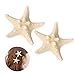 2PCS Sea Star Hair Clip Handmade Natural Sea Star Hair Pins Cute Headwear for Girls Women, Random Size