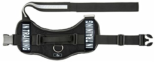 Doggie Stylz in Training Service Dog Harness with Removable Saddle Bag Backpack Pack Carrier Traveling Carrying Bag. 2 Removable in Training Velcro Patches. Please Measure Dog Before Ordering. Made