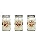 Hosley's Set of 3, 11 oz. Coconut Macaroon Scented Mason Jar Candles