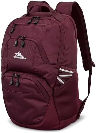 Amazon.com: High Sierra Everclass Backpack - Travel or Work  display picture 3