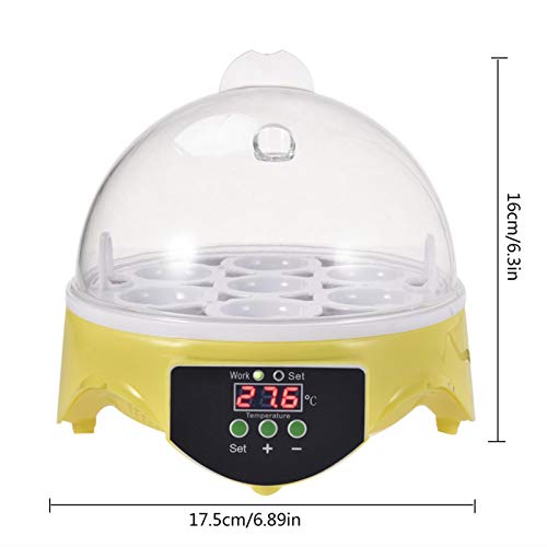 Eier Mini Digital Inkubator Vollautomatische Brutmaschine Brutkasten Temperatur Und Feuchtigkeitsregulierung… – Bild 3
