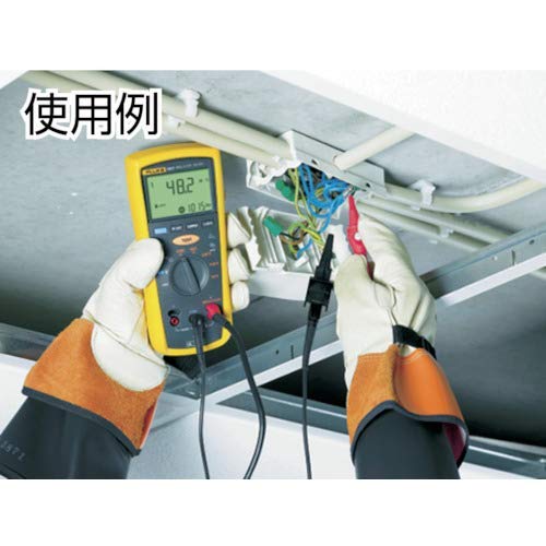 Fluke 1503 Insulation Tester