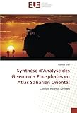 Synthèse d'Analyse des Gisements Phosphates en Atlas Saharien Oriental: Confins Algéro-Tunisien (F by 