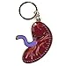 I Heart Guts Placenta Keychain – Baby’s First Roommate, Pregnancy or Birth Recovery Gift, Funny OB-GYN Keepsake, New Parent Present, Women’s Health Token