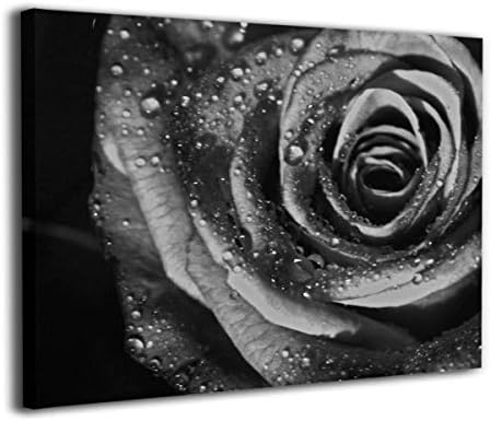 新作製品 世界最高品質人気 パネル J かべ飾り 装飾画 アート B098smqv かべ飾り 50 40 壁アート 壁掛け絵画 J 額 バラの 花 壁掛けポスタ インテリア 正規品送料無料 ポスターフレーム 黒と白 Skydoor 激安超特価 モダン アートフレーム 100 品質保証 壁掛け 絵画