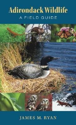 Adirondack Wildlife: A Field Guide