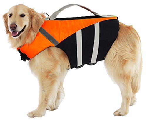 x large dog life jacket