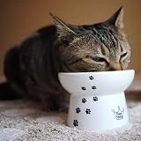 Necoichi Raised Cat Food Bowl (Cat)
