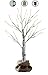 LOFTPLUS LED Birch Tree Hand-Painted Bonsai String Light 24 LED for Indoor Use Warm White Battery-Operated AC Adapter Burlap Sack Included - 24inch Tall