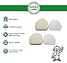 Green Label 2 Pack Replacement Foam and Felt Filter Kit XFF400 for Shark Rotator Professional Vacuum Cleaners. Fits: NV400, NV401, NV402