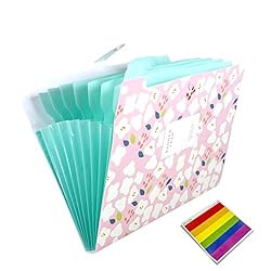 Expanding Files Folder 8 Pockets A4 Accordion File