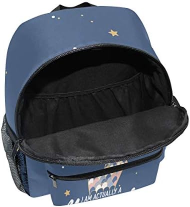 Fohoo 子供リュック キッズバックパック おしゃれ 入園 入学祝い かわいい 人魚柄 スター ペット用品 男の子 人魚柄 女の子 軽量 大容量 3 8歳 保育園 幼稚園 小学生 入園 入学祝い ハーネス付き B0868h8qw3 新作製品 世界最高品質人気 正規品送料無料 100 品質保証