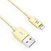 [Apple MFI Certified] 1byone Lightning to USB Cable 3.3 Feet (1 Meter) for iPhone 7 7 Plus 6s 6 Plus 5s 5c 5, iPad mini, iPad Air, iPad Pro, iPod touch 6th Gen/nano 7th Gen, Yellow