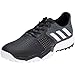 adidas Men's Adipower S Boost 3 Ftwwht Golf Shoe