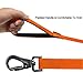 Long Dog Leash 50ft Training Leash Pet Traction Web Rope Obedience Recall Control Lead