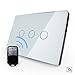 ValueBox, Free Combination, US/AU Standard, VL-C303R-81VL-RMT-02,Crystal Waterproof Glass Touch Screen Light Switch&Mini Remote