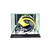 Perfect Cases Mini Football Helmet Display Case, Black Finish