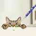 USB Charging Single Point Laser Pen Pet Cat Toy Wavelength 532nm, Outdoor Tactical LED High Power Green Light Beam Interactive Training Tools